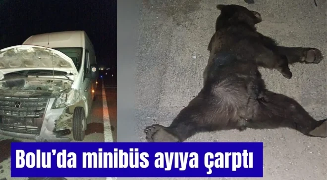 Bolu’da minibüs ayıya çarptı