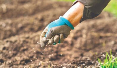 Gübrede büyük kriz kapıda