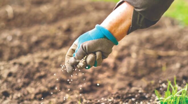 Gübrede büyük kriz kapıda